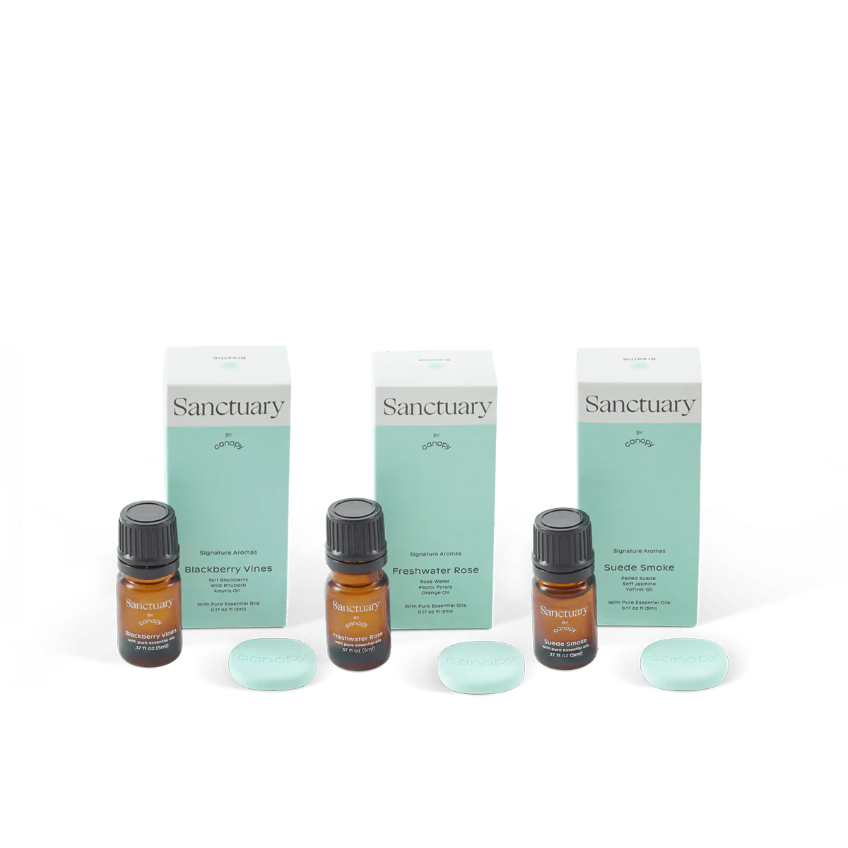 Bedside Humidifier Filter & Aroma - Image 3